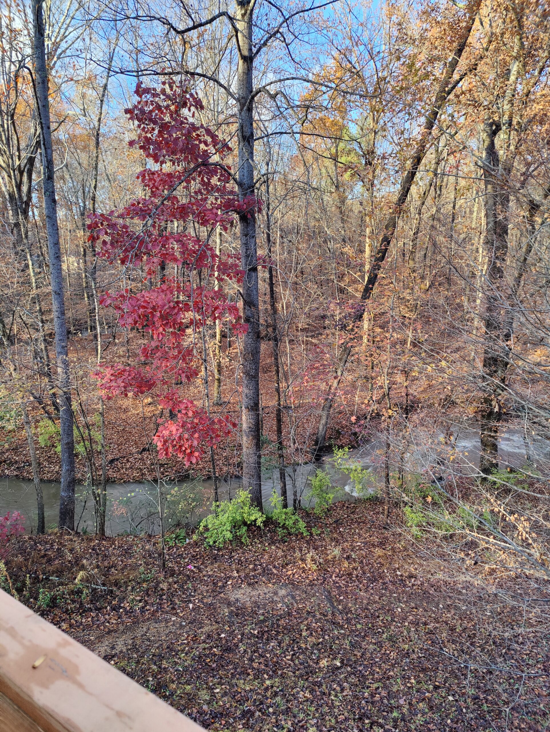 Mine Creek