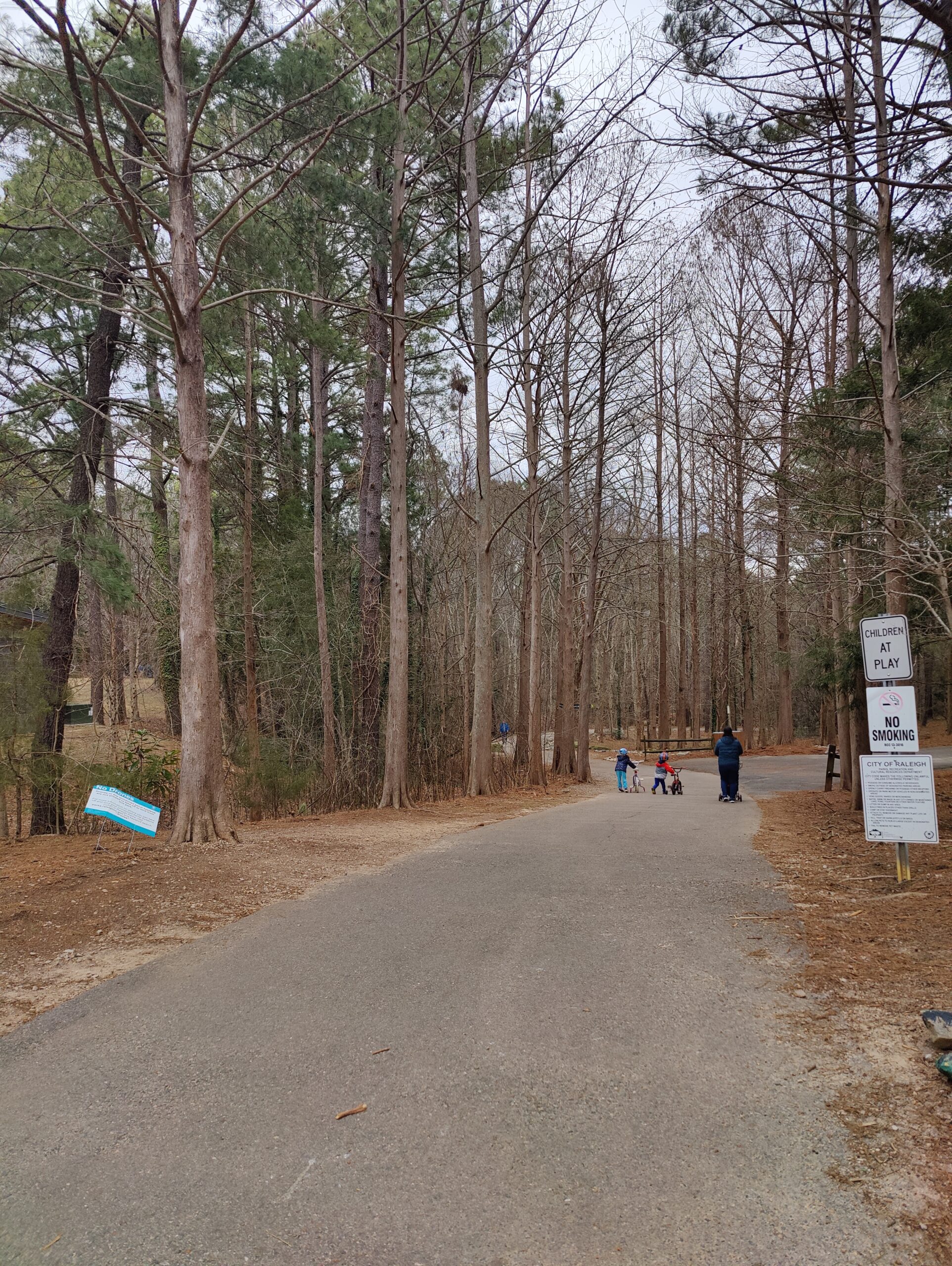 Shelley Lake