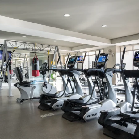 palladian-gym
