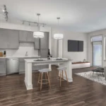9-camden-carolinian-apartments-raleigh-nc-open-concept-kitchen-living-grey-design-scope